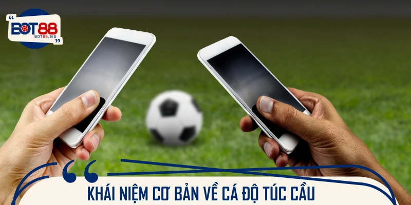 Nên hiểu gì về cá độ túc cầu? 